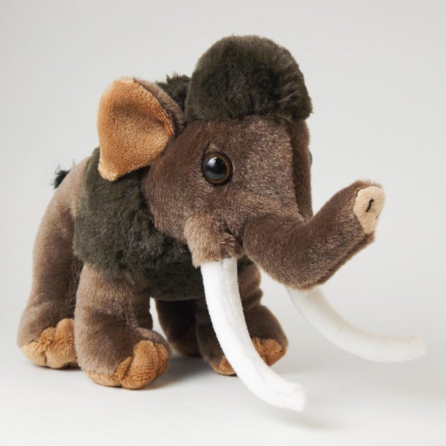 Plush | Tellus Science Museum Store