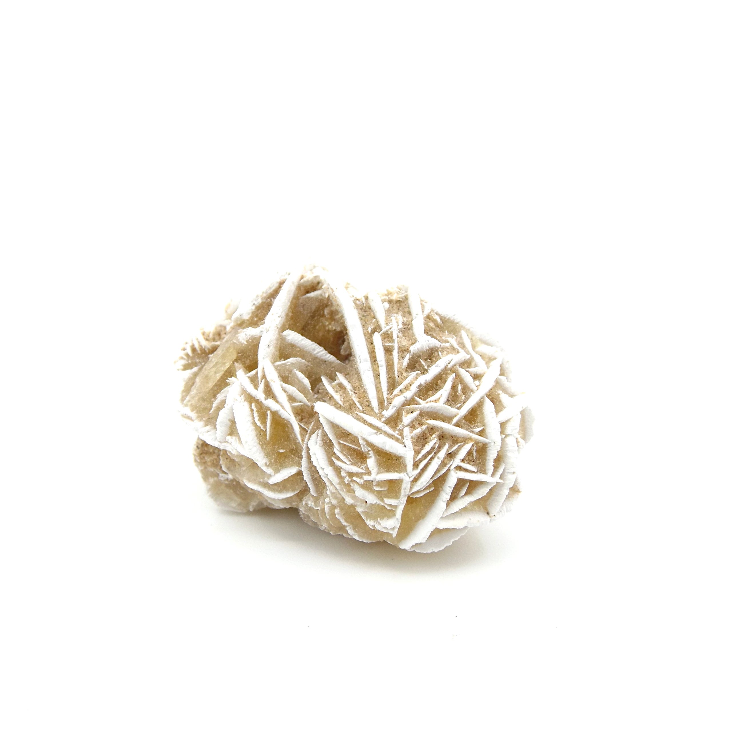 Selenite desert rose tellus science museum store